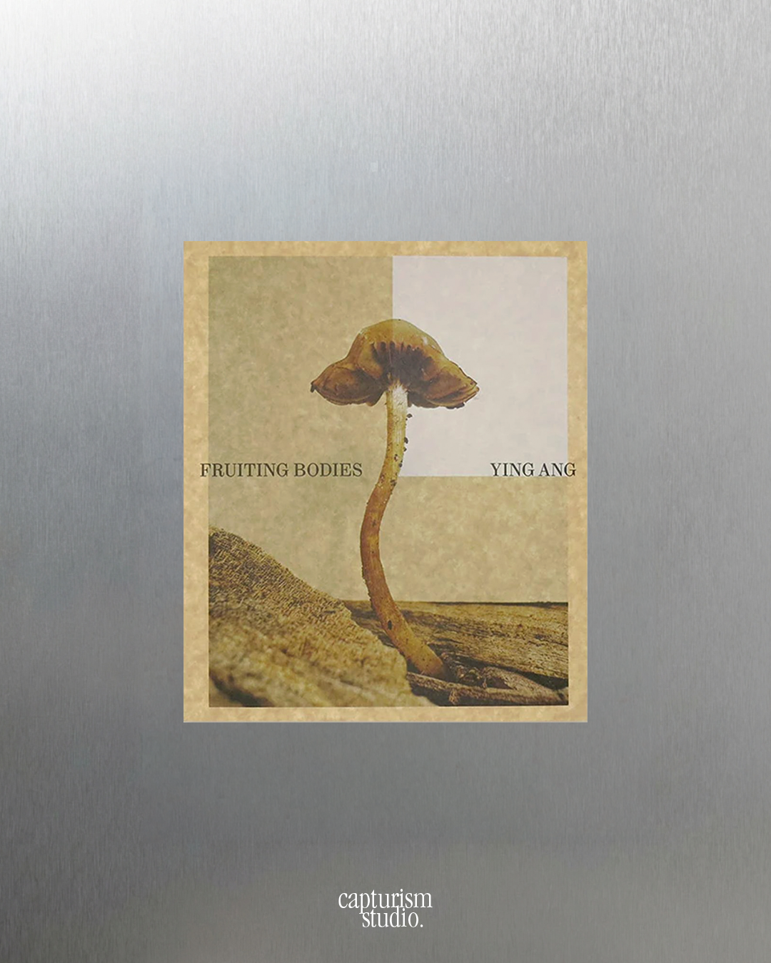 Fruiting Bodies by Ying Ang, Perimeter Editions