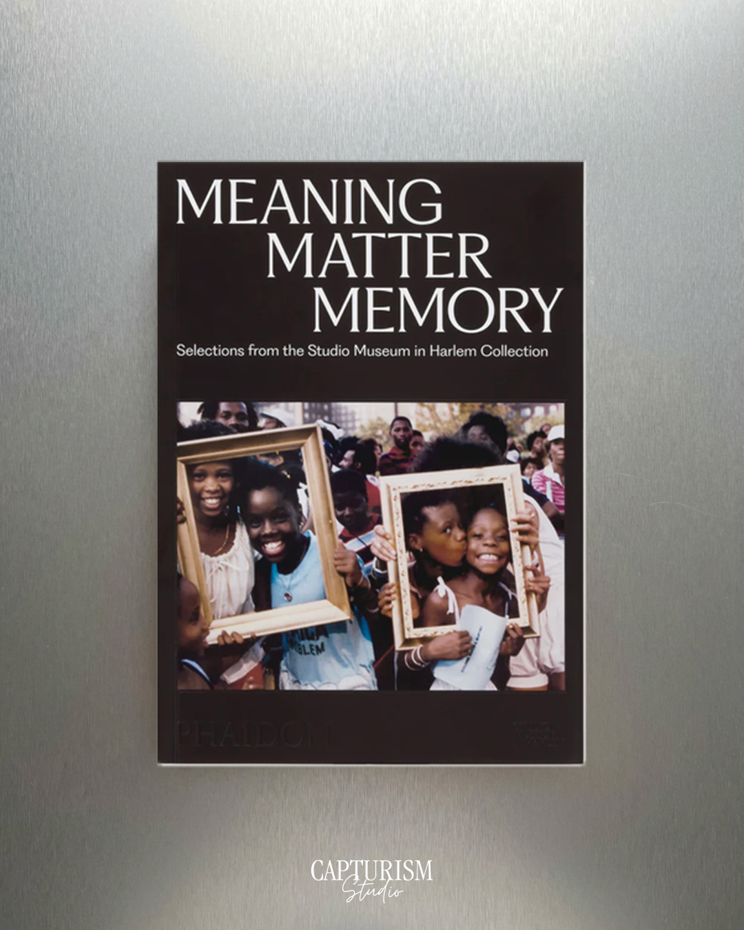 Meaning Matter Memory: Selections from the Studio Museum in Harlem Collection