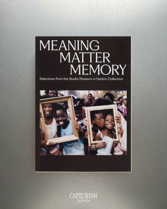 Meaning Matter Memory: Selections from the Studio Museum in Harlem Collection