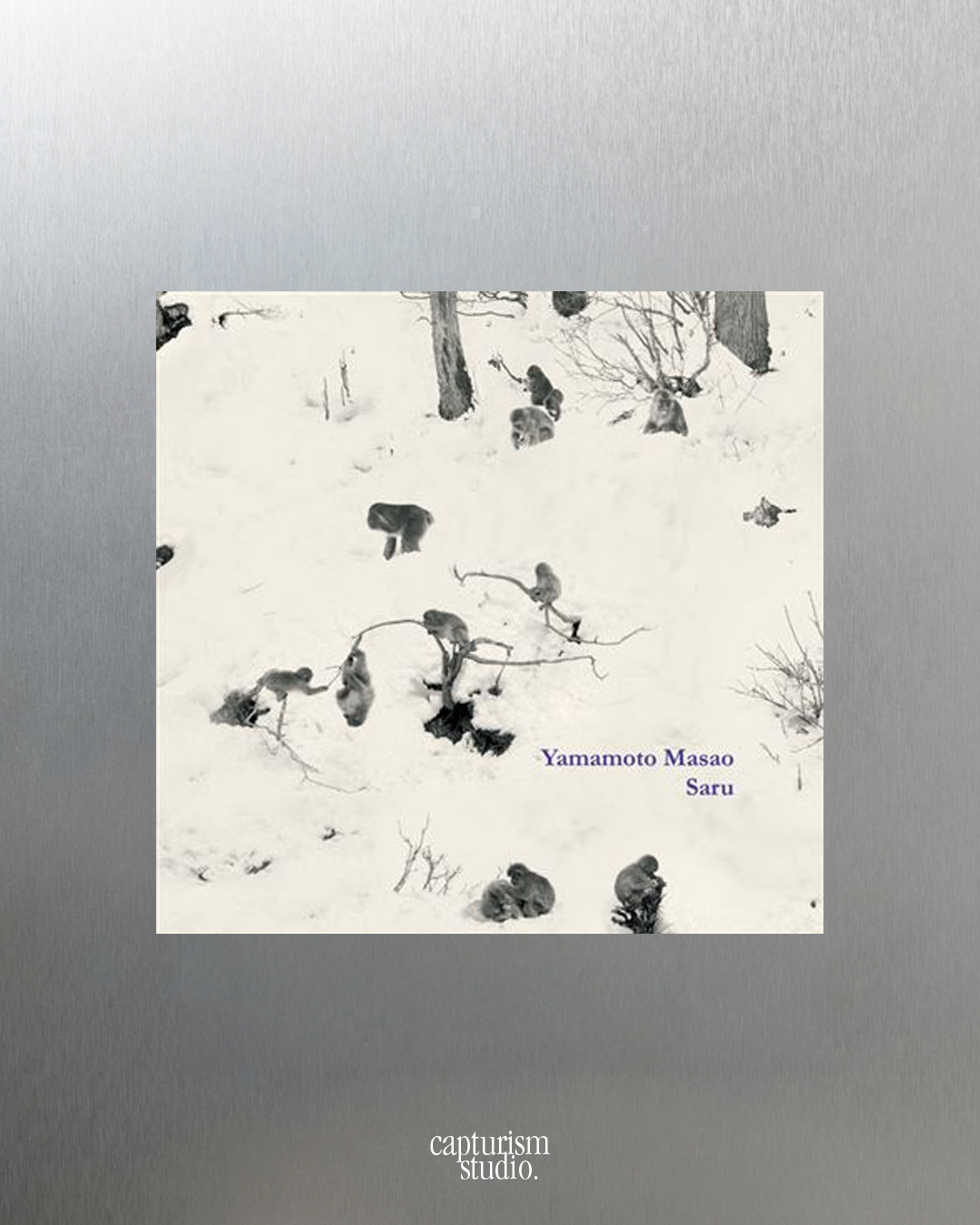 Saru by Yamamoto Masao